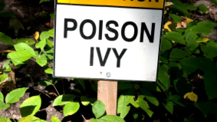 Microsoft upozorio na virus: 'Poison Ivy' napada korisnike!