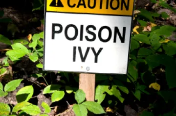 Microsoft upozorio na virus: 'Poison Ivy' napada korisnike!