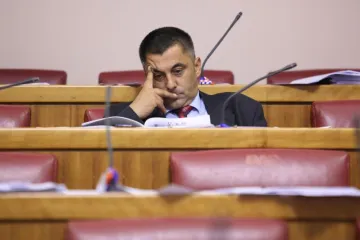 'Sada je Vladin program s faksa na biro pa u grob'