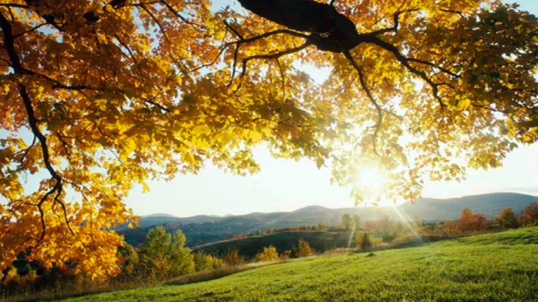 Proljeće umjesto jeseni: Toplo vrijeme i za vikend!