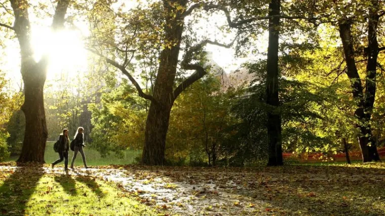 Početak studenog, a toplo kao usred ljeta!