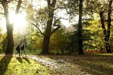 Početak studenog, a toplo kao usred ljeta!