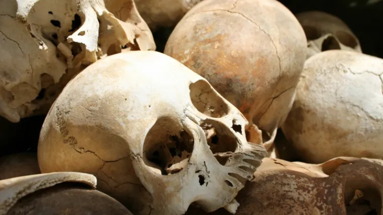 S le&scaron;eva odvajali glave i vadili unutarnje organe