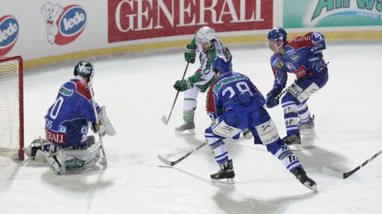 Medvjedi posrnuli u Ljubljani