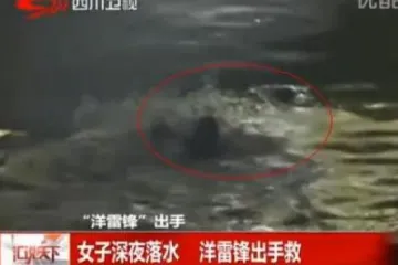 Turist skočio u rijeku i spasio ženu od smrti!