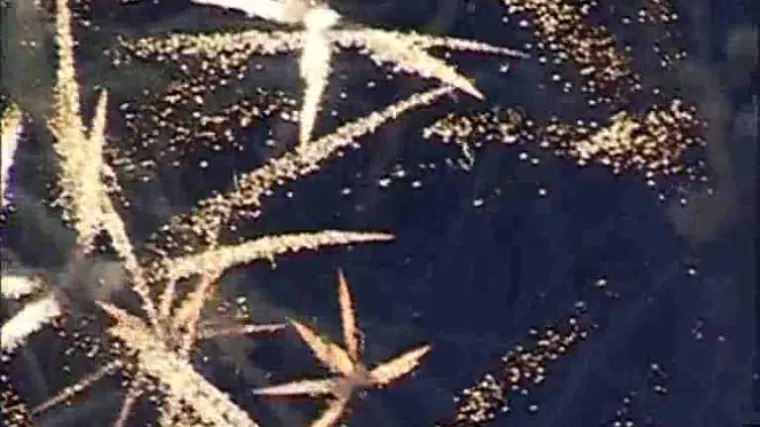 U Beogradu za Novu godinu tisuće Hrvata i Slovenaca