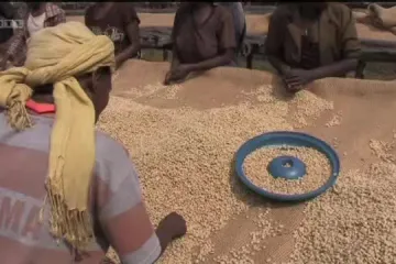 Dario Šimić našao idealan okus kave?