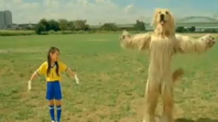 Bizarno: Pas otkriva kako biti golman