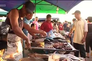 Novi život Nives Celzijus