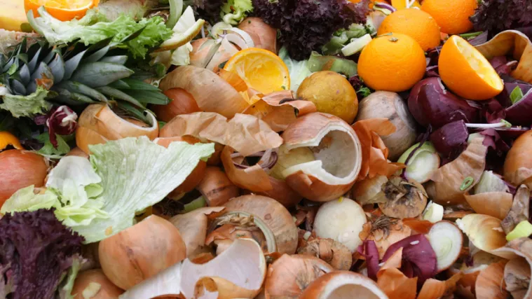 U smeće bacimo četiri milijarde kuna vrijednu hranu