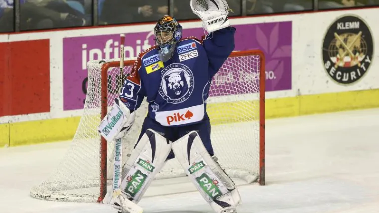 I Medve&scaron;čak svog Sammira ima