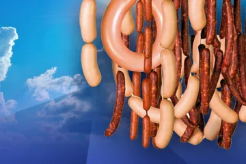 Prekomjerna konzumcija mesa nam skraćuje život