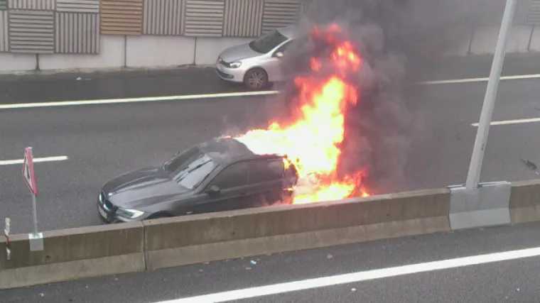 Portova zvijezda ostala bez limenog ljubimca