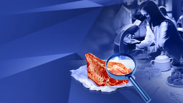 Provjerili smo kako bi se meso moglo kontrolirati