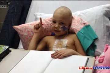 Strašni lav nije izdržao bol