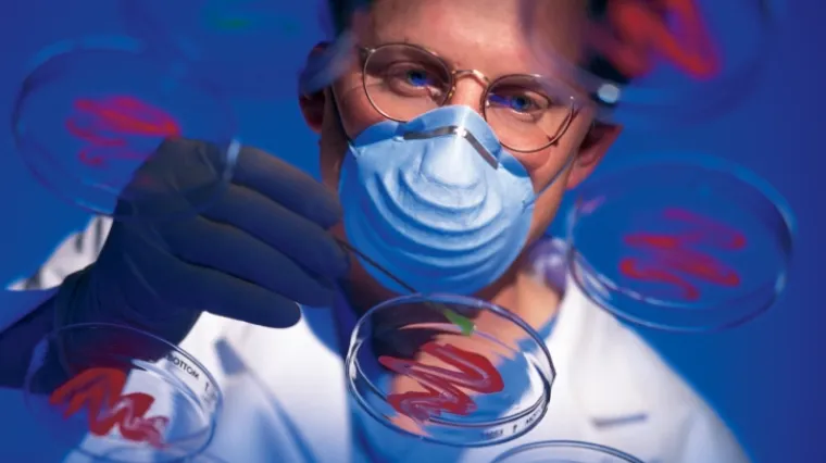 Može li kina kontrolirati epidemiju ptičje gripe?