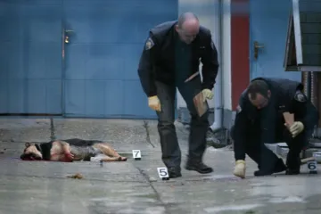 Brutalna okrutnost nad nesretnim mješancem