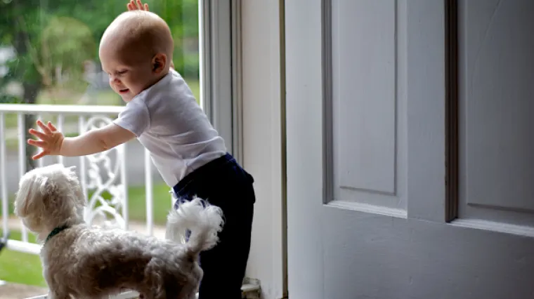 Roditelji bliži sa psima nego s vlastitom djecom!