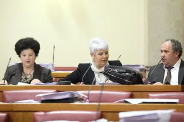 Kerum jedva izdržao sat i pol u sabornici