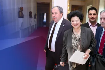 Čak četvrtina zastupnika istovremeno obavlja više funkcija