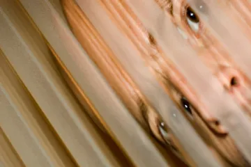 Exkluziv otkriva: Kako prepoznati psihopata?