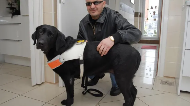 Uginula kuja Zola, legendarni pas vodič