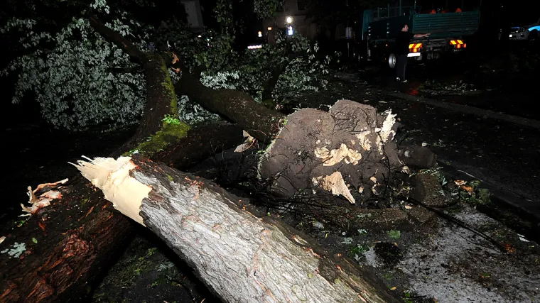 Jako nevrijeme s tučom pogodilo Karlovac, vjetar lomio stabla