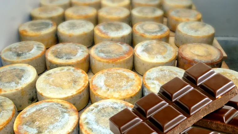 Sladokusce oduševila čokolada s paškim sirom!