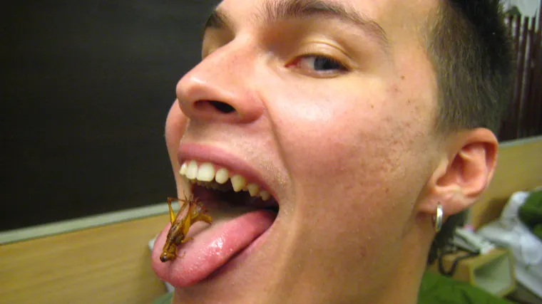 'Jedite kukce jer su puni proteina i minerala'