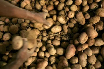 Riješen misterij bolesti koja je izmijenila tijek povijesti