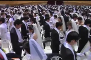 Masovno vjenčanje u Beogradu!