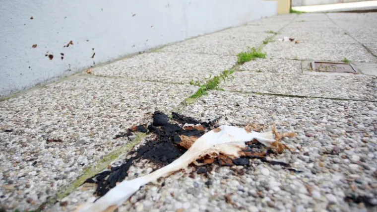 Već dva mjeseca s prozora na ulicu baca izmet!