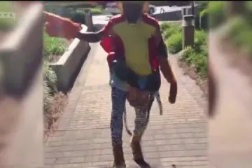 Saznajte kako ostati fit skakućući poput ždrebeta!