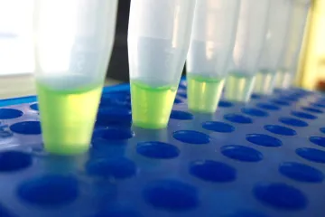 Hrvatska pamet na cijeni: Naši znanstvenici dobili 5 milijuna eura!