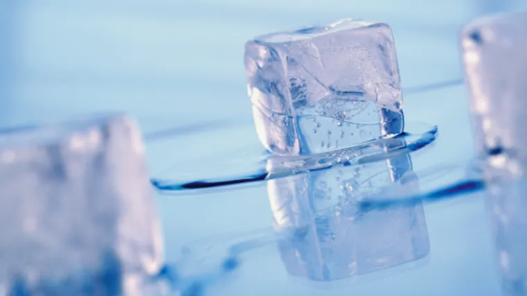 Led ima vi&scaron;e bakterija od vode u WC-u