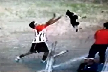 Pocrvenio nakon iživljavanja nad psom