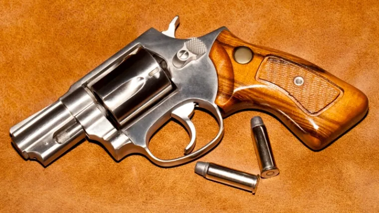 Četvorica Varaždinaca ilegalno prodavali oružje u &scaron;umi!