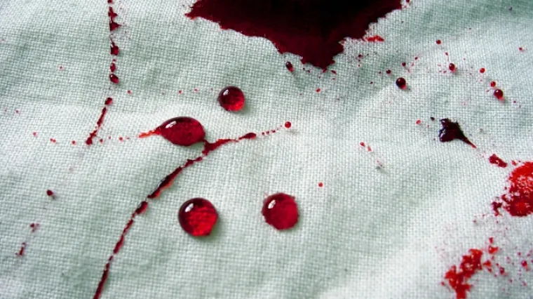 Svi iz iste obitelji: Osam žena i dijete razneseni bombom