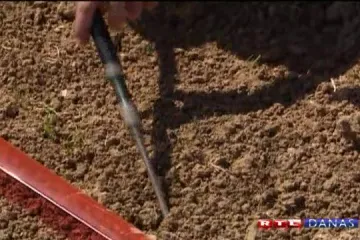 Pirotehničari nakon 11 dana prekinuli štrajk?