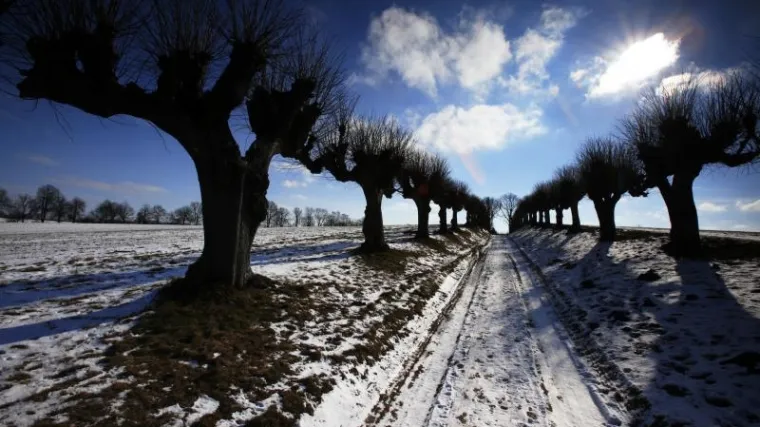 Ako se nastave ovako razmnožavati, pro&scaron;irit će bolesti &scaron;irom svijeta!
