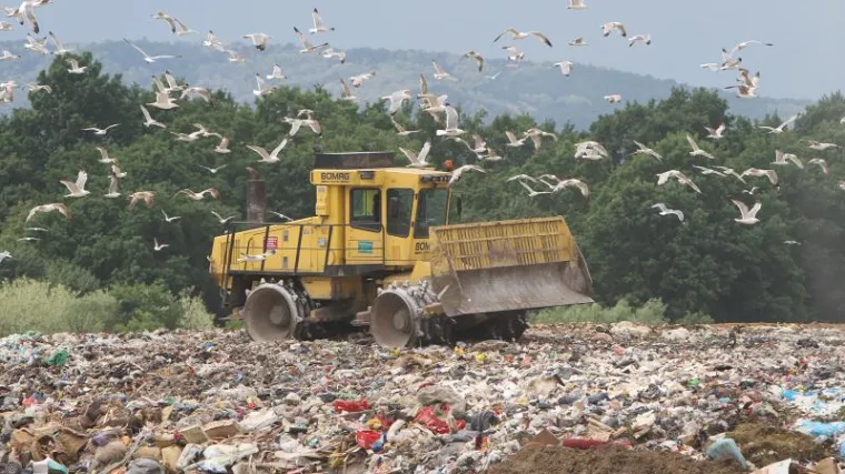 Milijuni tona hrane godišnje završe u kantama za smeće