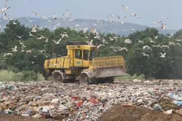 Milijuni tona hrane godišnje završe u kantama za smeće