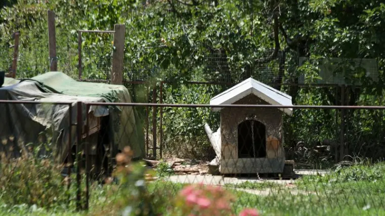 Osječanin zvjerski ubio svoja tri psa!