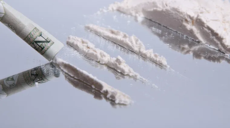 Slučaj 'Paukova mreža': Dilerima ukupno 73 godine zatvora!