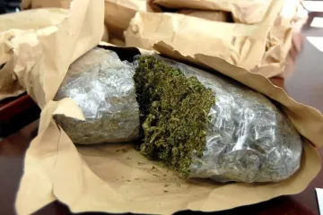 Policija u akciji: Čak sedam zapljena droge na dubrovačkom području