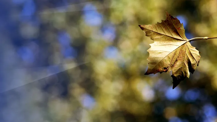 Meteorolozi najavljuju ljetne vrućine