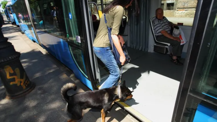 Psi i mace dobrodo&scaron;li u tramvaje i autobuse ZET-a!