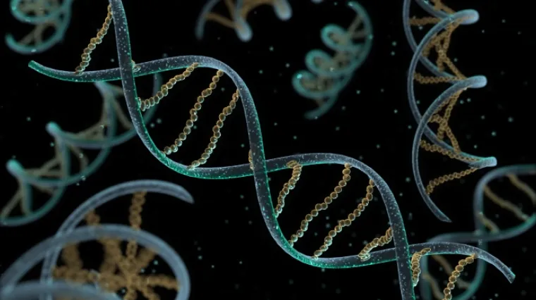 Biolog s Harvarda tvrdi: Srbi su najstariji narod!