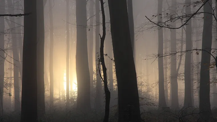 Zastra&scaron;ujući fenomen koji nitko ne može spriječiti!