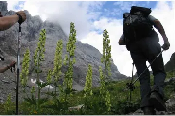 GSS kod Međugorja pronašao izgubljenu ženu